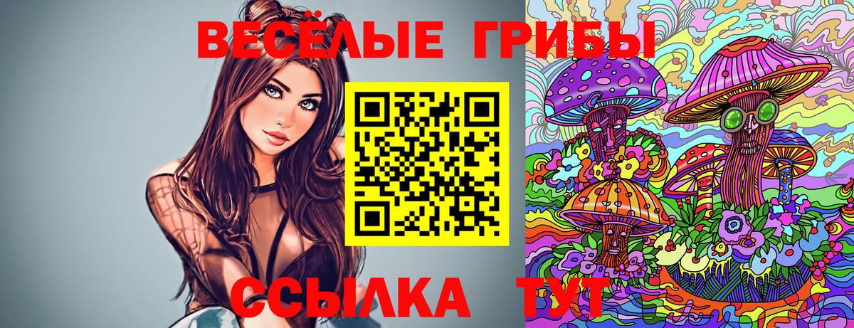 Галлюциногенные грибы прущие грибы Бутурлиновка