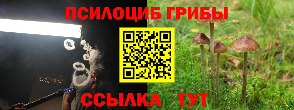 Бутурлиновка  Псилоцибиновые грибы Magic Shrooms  закладки  Вход с VPN 